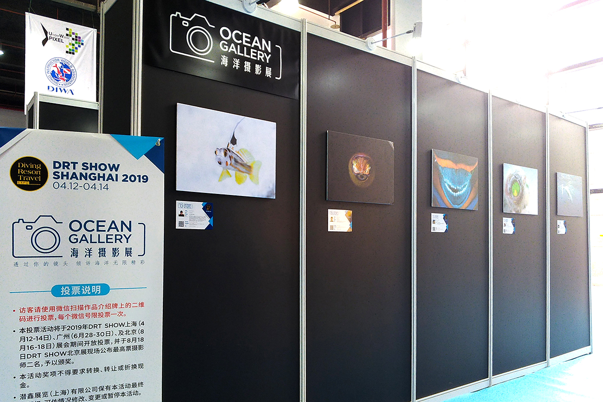 Ocean Gallery